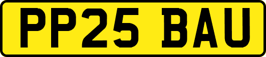 PP25BAU