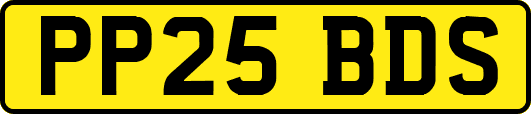 PP25BDS