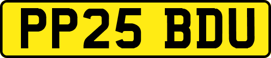 PP25BDU