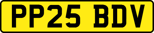 PP25BDV