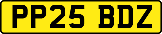 PP25BDZ