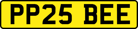 PP25BEE