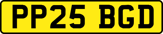 PP25BGD