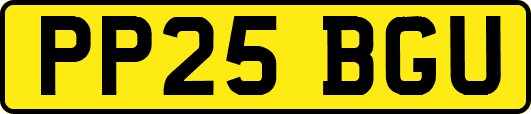 PP25BGU
