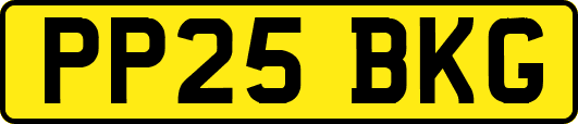 PP25BKG
