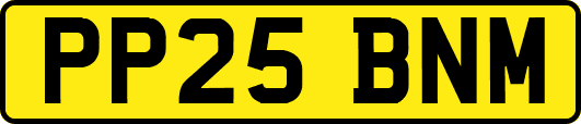 PP25BNM