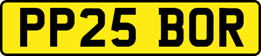 PP25BOR