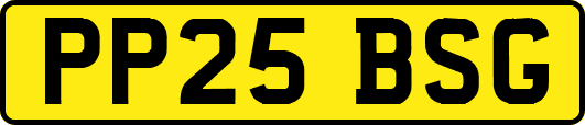 PP25BSG