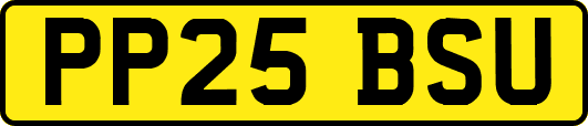 PP25BSU