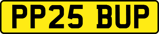 PP25BUP