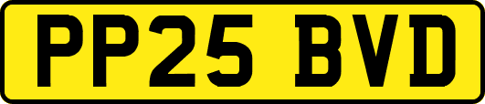 PP25BVD