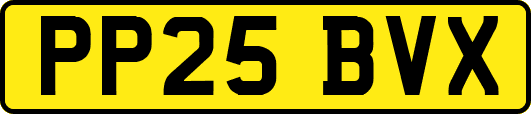 PP25BVX