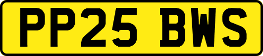PP25BWS