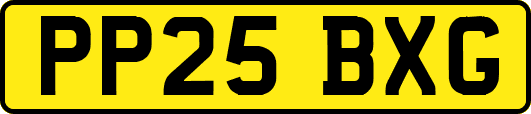 PP25BXG
