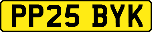 PP25BYK