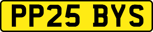 PP25BYS