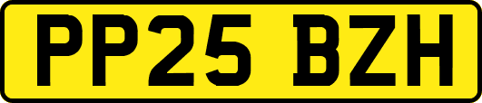 PP25BZH