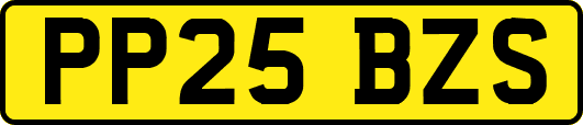 PP25BZS