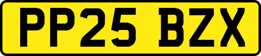 PP25BZX