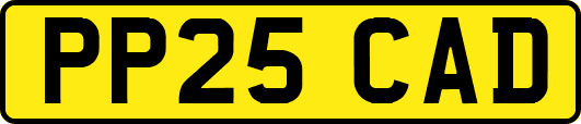 PP25CAD