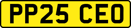 PP25CEO