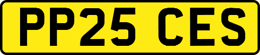 PP25CES