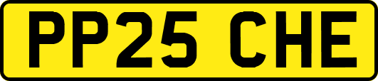 PP25CHE