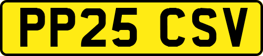 PP25CSV