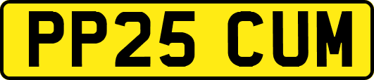 PP25CUM