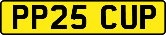 PP25CUP