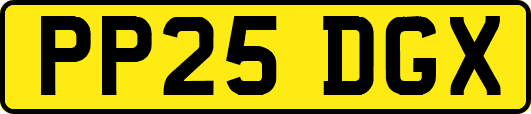 PP25DGX