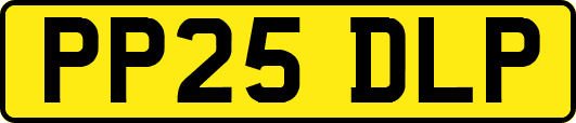 PP25DLP