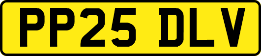 PP25DLV