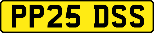 PP25DSS