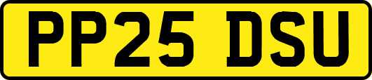 PP25DSU