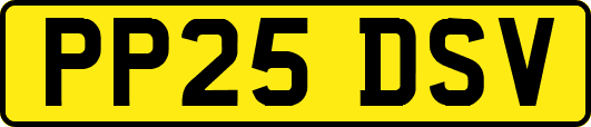 PP25DSV