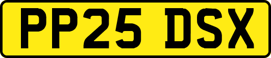 PP25DSX