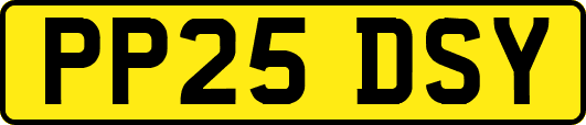 PP25DSY