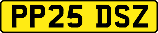 PP25DSZ