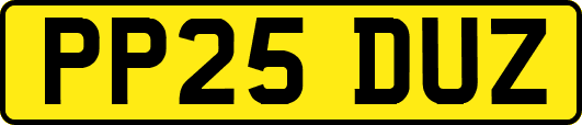PP25DUZ