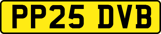 PP25DVB
