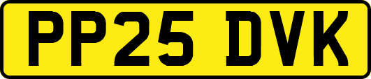 PP25DVK