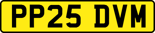 PP25DVM