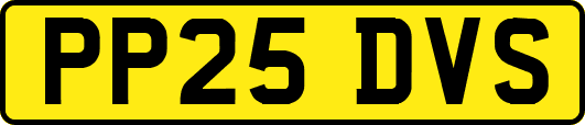 PP25DVS