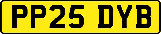 PP25DYB