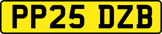 PP25DZB