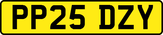 PP25DZY