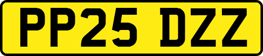PP25DZZ