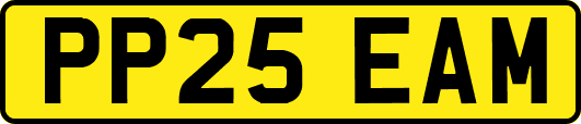 PP25EAM