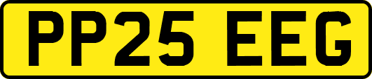 PP25EEG